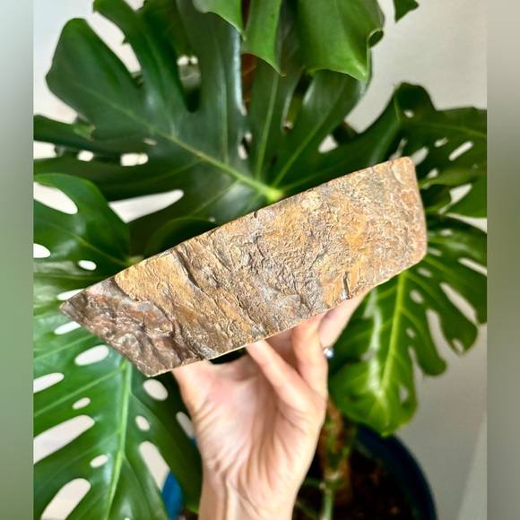 Petrified Wood Bowl - Picture 3 of 8